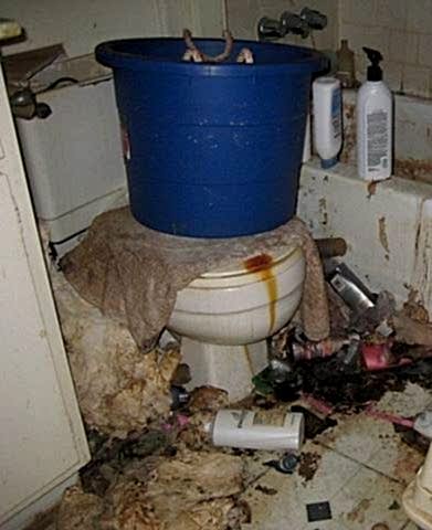 уборка запущенных квартир