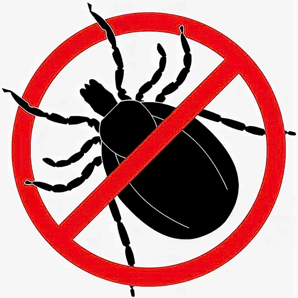 Уничтожение клещей на участке