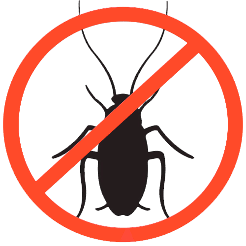 Cлужба по уничтожению тараканов