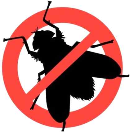 Уничтожение мух